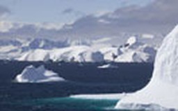 Bất đồng quanh kế hoạch khu bảo tồn ở Nam Cực